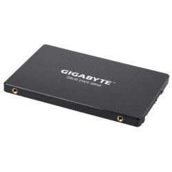 Gigabyte | GP-GSTFS31256GTND | 256 GB | Solid-state drive interface SATA | Read speed 520 MB/s | Write speed 500 MB/s