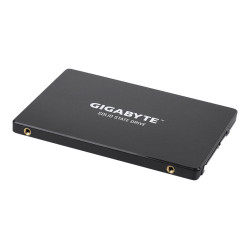 Gigabyte | GP-GSTFS31256GTND | 256 GB | Solid-state drive interface SATA | Read speed 520 MB/s | Write speed 500 MB/s