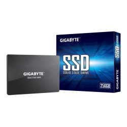 Gigabyte | GP-GSTFS31256GTND | 256 GB | Solid-state drive interface SATA | Read speed 520 MB/s | Write speed 500 MB/s