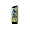 Apple iPhone 17 Silicone Case with MagSafe - Light Moss | Apple