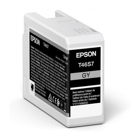 Epson UltraChrome Pro 10 ink | T46S7 | Ink cartrige | Grey