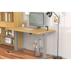 Digitus Floor stand | DA-90435 Electrical Table Frame | Height adjustment | Maximum weight (capacity) 100 kg | Grey