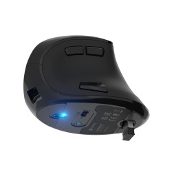 Natec | Vertical Mouse | Euphonie Pro | Wireless | Bluetooth, 2.4GHz | Black