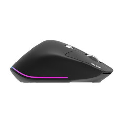 Acer Easy Fit wireless Mouse |2.4GHz and BT5.0 | Black | Acer
