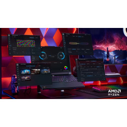 Lenovo Legion Pro 7 16AFR10H | Eclipse Black | 16 " | OLED | WQXGA | 2560 x 1600 pixels | Glossy | AMD Ryzen 9 | 9955HX3D | 32 G