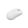 Lenovo Silent Mouse | Yoga | Wireless | Bluetooth | Seashell