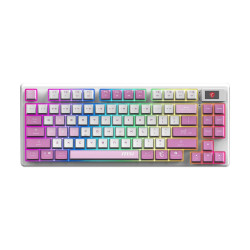 MSI FORGE GK600 TKL WIRELESS VIOLET | Gaming keyboard | Wireless | US | 2.4 GHz Wireless, Bluetooth, USB 2.0 | Mechanical Linear
