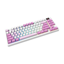 MSI FORGE GK600 TKL WIRELESS VIOLET | Gaming keyboard | Wireless | US | 2.4 GHz Wireless, Bluetooth, USB 2.0 | Mechanical Linear