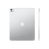Apple 13-inch iPad Pro M5 Wi-Fi 2TB with nano-texture glass - Silver | Apple
