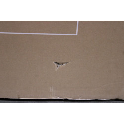 SALE OUT. TCL 75T8C 75" (189 cm) 4K QLED TV with Google TV | TCL 4K QLED TV | 75T8C | 75 | Smart TV | Google TV | Black | DAMAGE