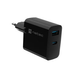 Natec Ribera USB Charger, 1x USB-A, 1x USB-C, 65W | NUC-2145