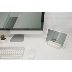 Digitus Desk Mount | DA-90439 | Maximum weight (capacity) 10 kg | Silver