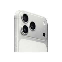 Apple iPhone 17 Pro Max | Silver | 6.9 " | Super Retina XDR display | 2868 x 1320 pixels | A19 Pro | Internal RAM 12 GB | 256 GB