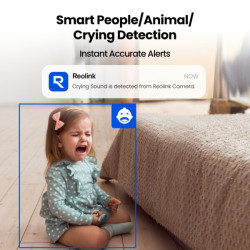 Reolink Camera | E Series E321 | Tabletop | 3 MP | 4mm/F2.0 | MicroSD up to 512GB