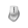 Asus WT425 MOUSE/SIL | Asus