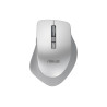 Asus WT425 MOUSE/SIL | Asus
