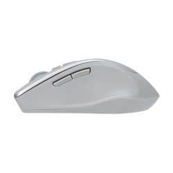 Asus WT425 MOUSE/SIL | Asus