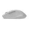 Asus WT425 MOUSE/SIL | Asus