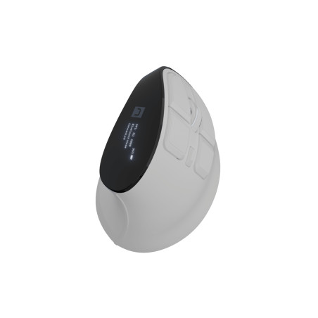 Natec Mouse | Euphonie Pro | Wireless | 2.4 GHz, Bluetooth | White