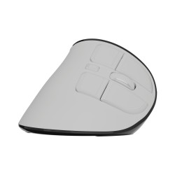 Natec Mouse | Euphonie Pro | Wireless | 2.4 GHz, Bluetooth | White