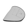 Natec Mouse | Euphonie Pro | Wireless | 2.4 GHz, Bluetooth | White