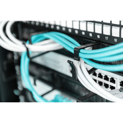 Digitus Cable Management Panel with Brush Entries for 483 mm (19") Cabinets, 1U | DN-97663