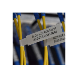 Brother PT-E920BT Mobile Label Printer, USB/Bluetooth, for 36 mm Wide Tape | Brother