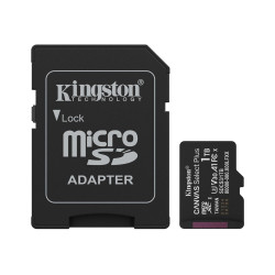 Kingston Memory card | Canvas Select Plus | 1000 GB | microSD | Flash memory class Class 10, UHS-I, U1/U3, video class 10/30, A1