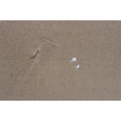 SALE OUT. Dell 16 AG 2.5K i7-150U/16GB/512GB/Intel Graphics/Ubuntu/ENG Backlit Kbd/FP/Silver/3Y ProSupport NBD OnSite Warranty |