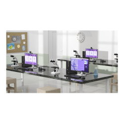 Dell QCS1255 | Pro | Desktop | Slim | AMD Ryzen 5 | 8600G | Internal memory 16 GB | DDR5 | 512 GB | Intel Integrated Graphics | 