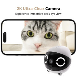 Enabot | ROLA Mini Pet Monitor | Compact | 3 MP