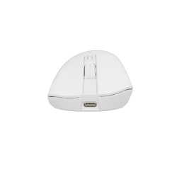 Genesis Gaming Mouse | Zircon 880 Pro 8k | Wireless | 2.4GHz, Bluetooth | White
