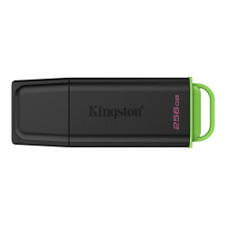 Kingston DataTraveler Exodia 256GB USB 3.2 Flash Drive