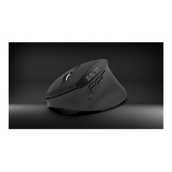 Acer Smart Fit Vertical Mouse, retail pack