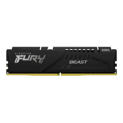 Kingston | 16 GB | DDR5 | 5600 MHz | PC/server | Registered No | ECC No