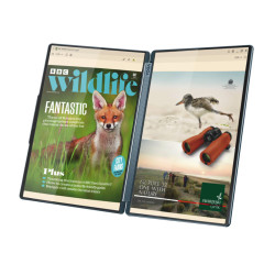 Lenovo Yoga Book 9 14IAH10 Intel | Tidal Teal | 2x14 " | OLED | Touchscreen | 2.8K WQXGA+ | 2880 x 1800 pixels | Intel Core Ultr