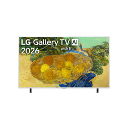 LG 65LX7B6LA 65" (164 cm) 4K Gallery QNED Smart TV | LG