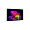 LG OLED55G61LW 55" (139 cm) 4K OLED evo Gallery Smart TV | LG