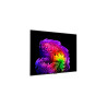 LG OLED55G61LW 55" (139 cm) 4K OLED evo Gallery Smart TV | LG