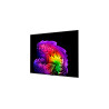 LG OLED65G61LW 65" (164 cm) 4K OLED evo Gallery Smart TV | LG