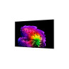 LG OLED65G61LW 65" (164 cm) 4K OLED evo Gallery Smart TV | LG