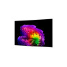 LG OLED77G61LW 77" (195 cm) 4K OLED evo Gallery Smart TV | LG