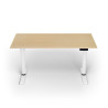 Arozzi Electric Standing Desk | Arena Nordico | Birch