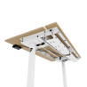 Arozzi Electric Standing Desk | Arena Nordico | Birch