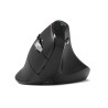 PORT CONNECT Mouse | ERGO AUDITOR | Wireless | Bluetooth, 2.4 GHz | Black