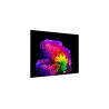 LG OLED 4K AI G6 TV | OLED83G61LW | 83 | Smart TV | webOS | UHD | Black