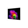 LG OLED 4K AI G6 TV | OLED83G61LW | 83 | Smart TV | webOS | UHD | Black