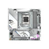 Gigabyte