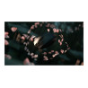 Razer Orochi V2 | Gaming Mouse | Black | 2.4 GHz, Bluetooth
