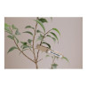 Brother | TZe-S211 Strong Adhesive Laminated Tape | Black on White | TZe | 8 m | 6 cm